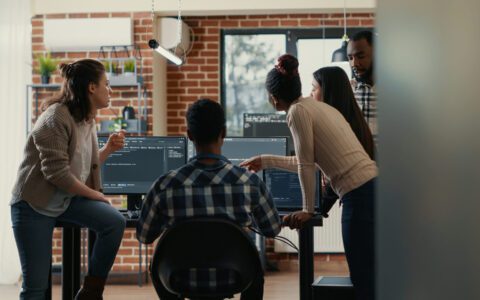 Software Development Team