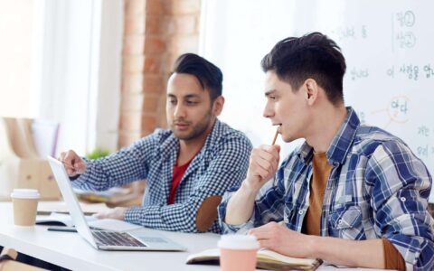 Assess developer's skills