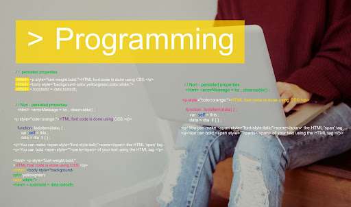 Programming skills test