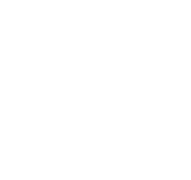 Global Security Check