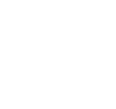 Employment Verification